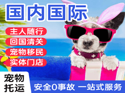 毕节飞雄机场快递国际宠物托运 【国
